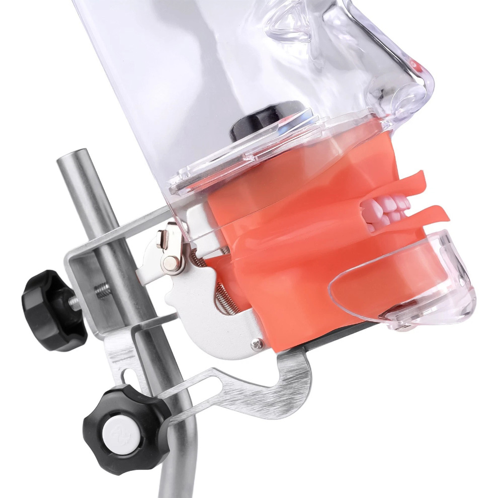 Dental Phantom Head Manikin Model with 28Pcs/32Pcs Teeth Typodont and FE Articulator Compatible with Nissin Kilgore